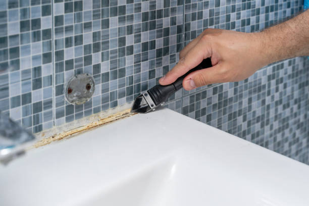 Best White Mold Remediation in Lantana, FL