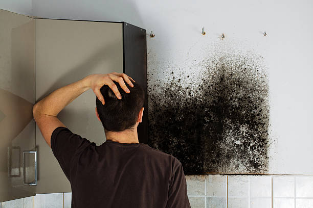 Lantana, FL Mold Remediation Company